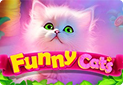 Funny Cats